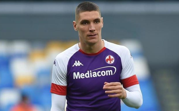 王哲林贡献 王哲林贡献