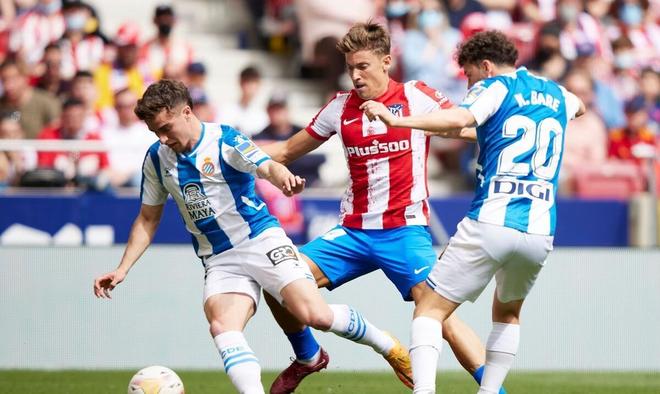 素质和能力 素质和能力